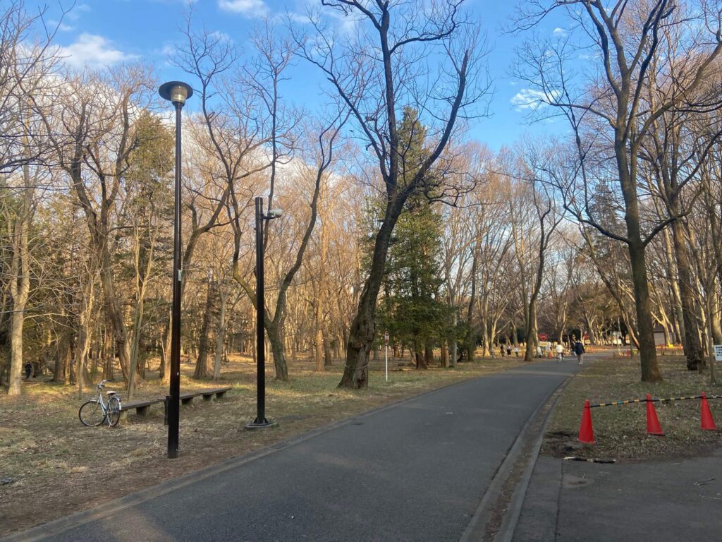 小金井公園ランニングコース